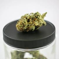 Inyo Fine Cannabis Dispensary image 4